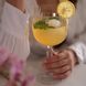Бокал Gin Tonic 745 мл, America 20S 122128BB9021990 фото 4