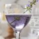 Коктейльная рюмка Nick&Nora Lace, 160 мл, Classic Cocktails Vintage Rona 651504333 фото 5